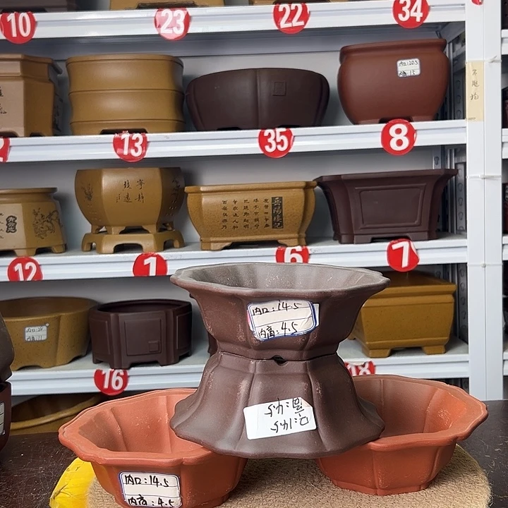 紫砂花盆你在一起