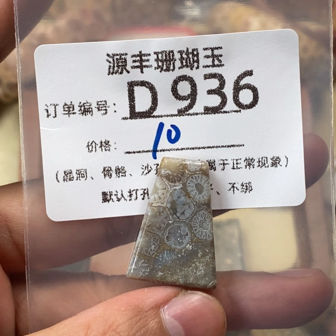 h****硅化玉未镶嵌颈饰