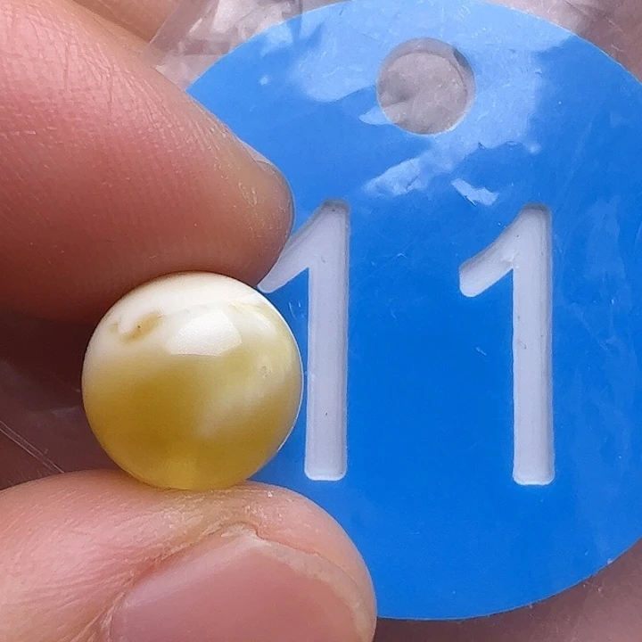 未镶嵌蜜蜡裸石花粉10m m