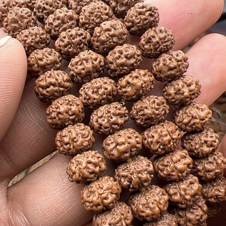 金刚菩提手串树魔