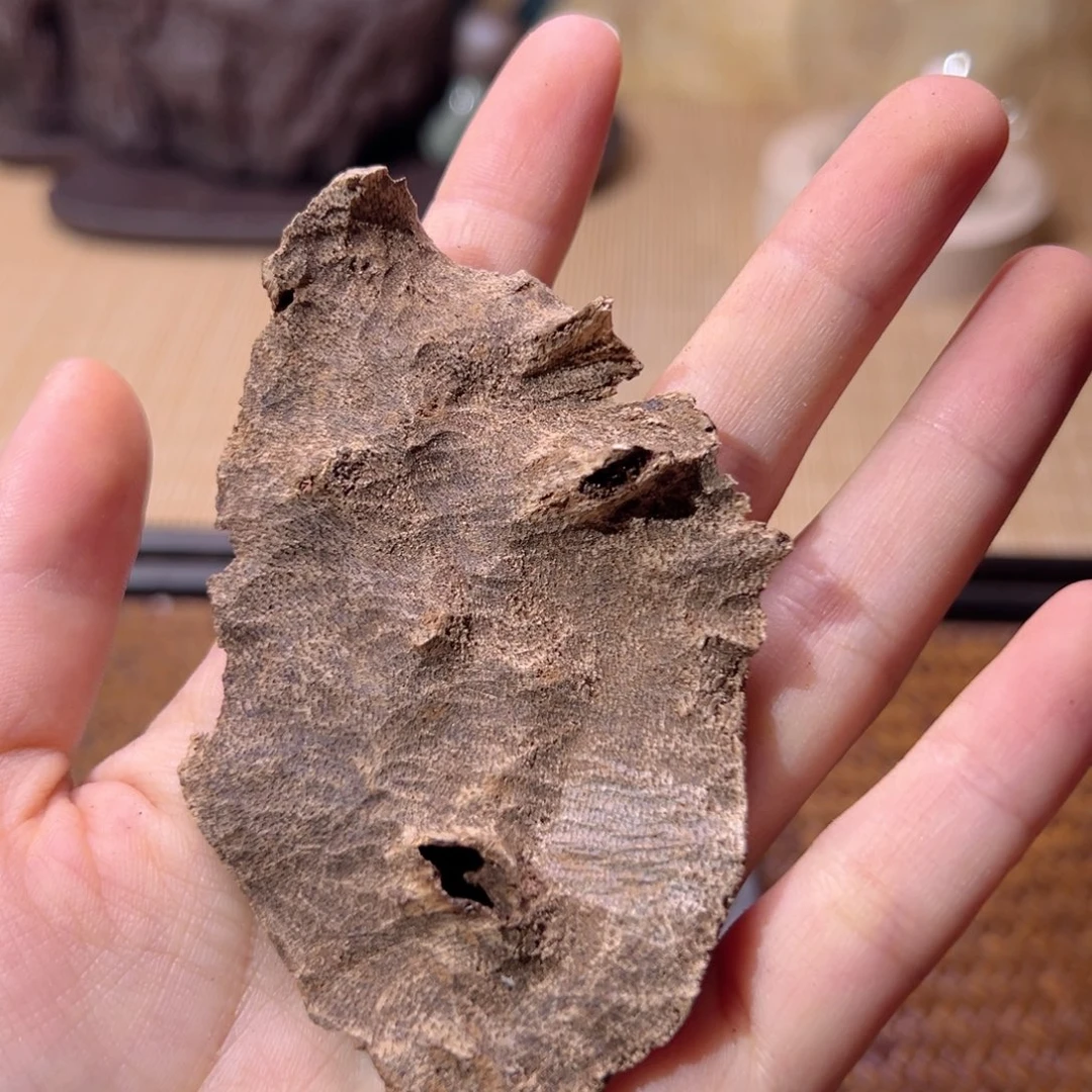 【闪购商品】香榧木海南木料尖峰岭向阳面包头9克福利