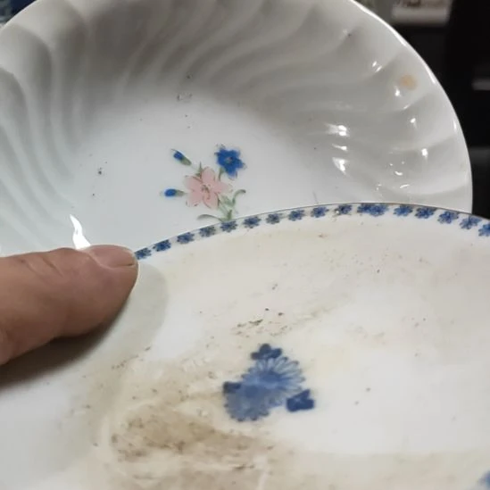 红***宝茶盏瓷器吗你，么么哒爱你