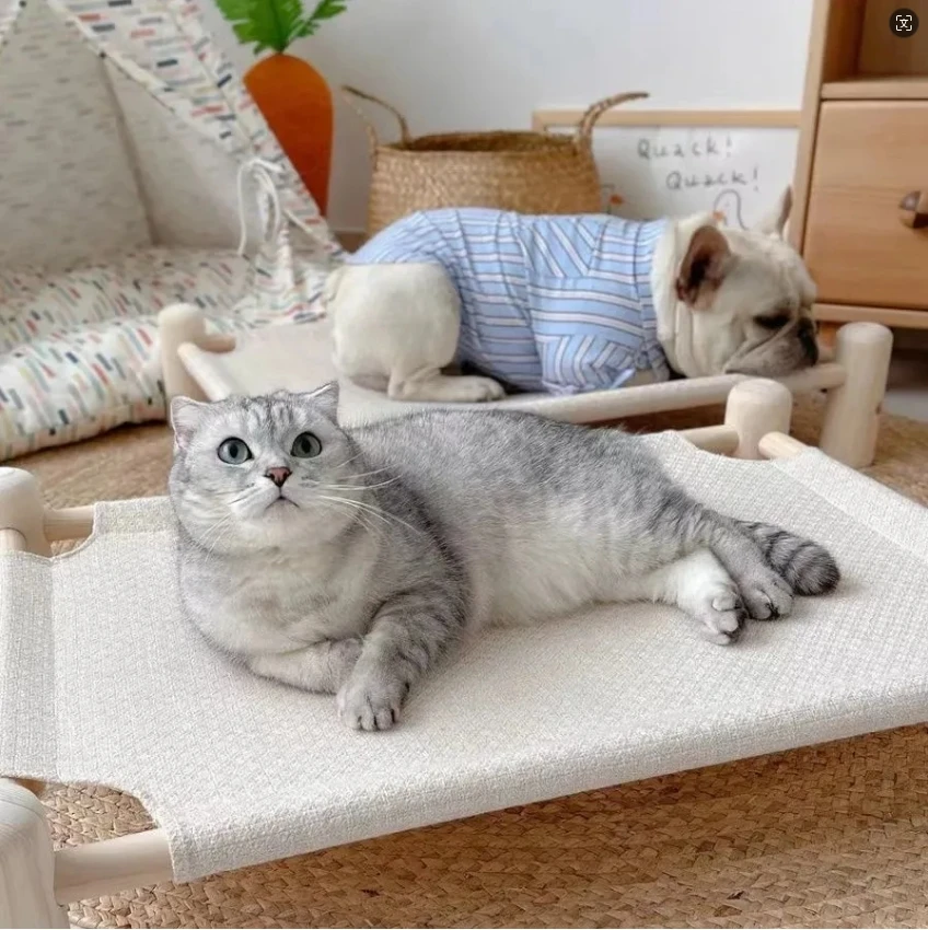 猫狗吊床猫床实木行军床离地猫吊床猫窝狗窝四季通用中小型狗狗床