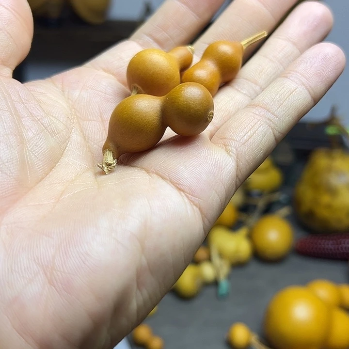 冲***啊小葫芦一物一拍三个