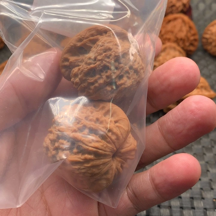 C*血麒麟，鱼鳞纹，苹果，楼子，粗纹，磨盘佛度白蛇骨水龙