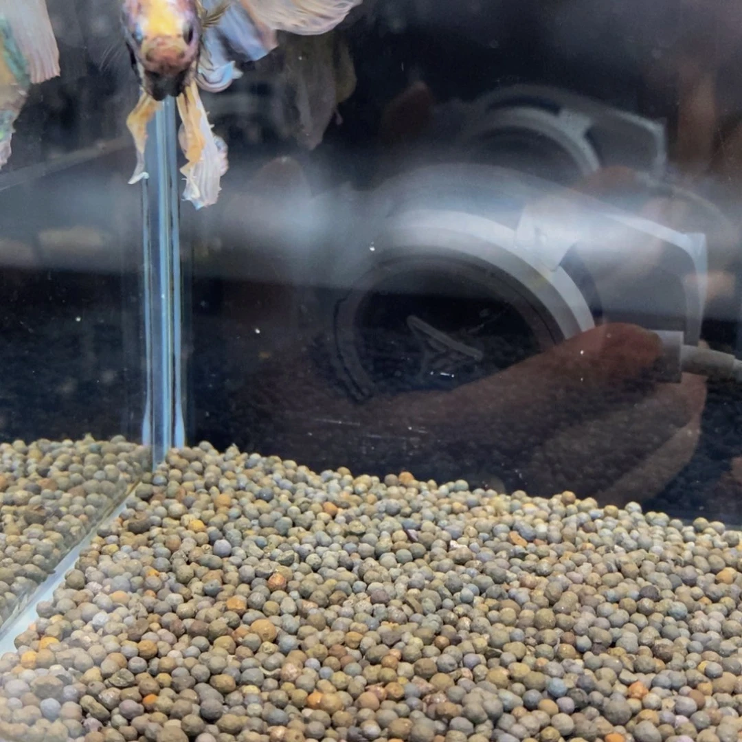 斗鱼516巨斗1111111