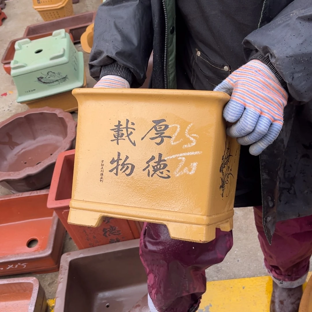 紫砂花盆盆景艺术