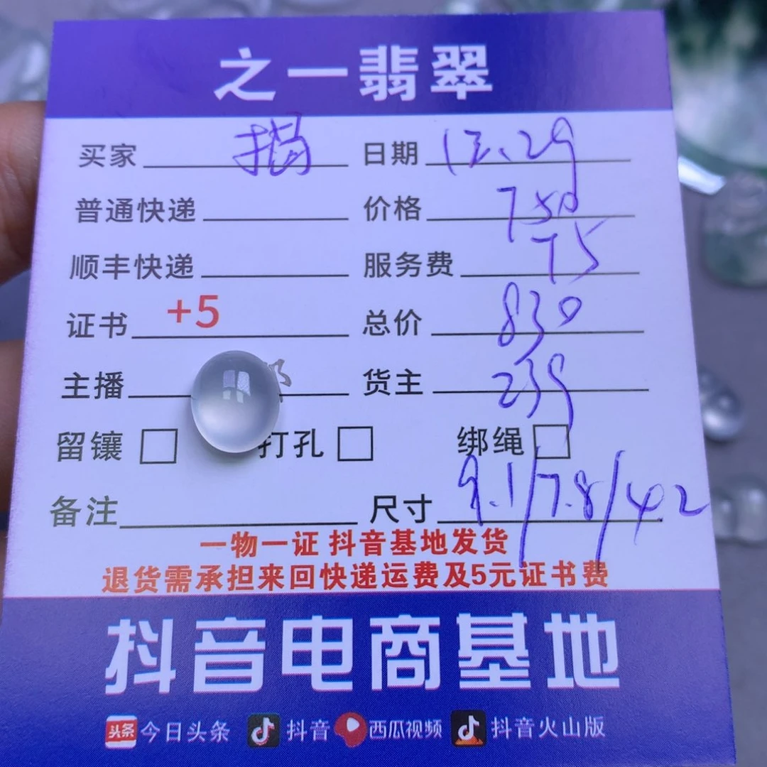 颈饰未镶嵌翡翠揭****食