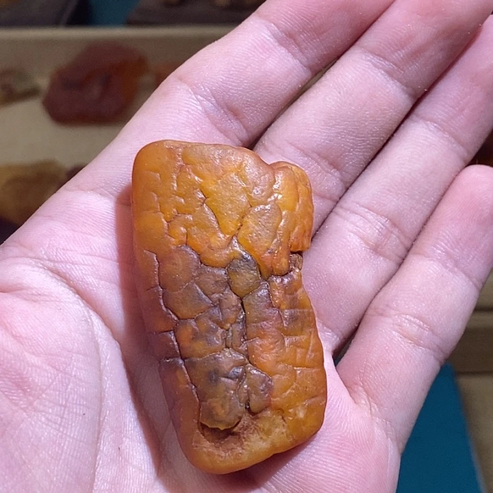 裸石琥珀未镶嵌金绞蜜