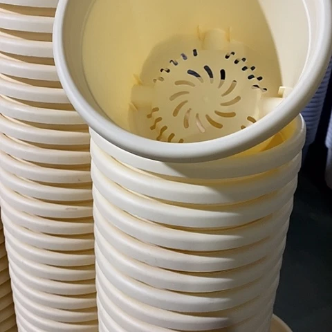 树脂四季3号米黄无托10个