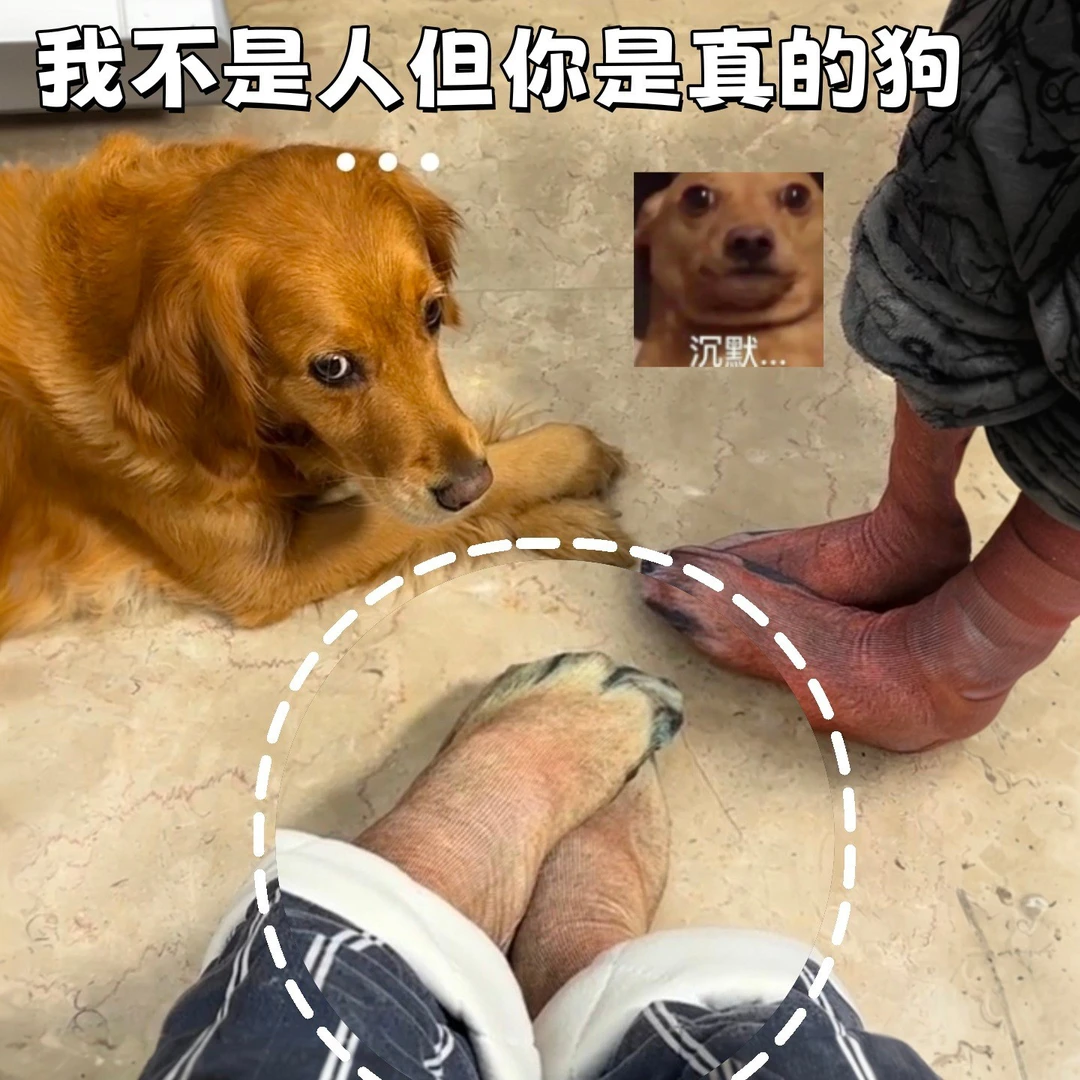 狗爪袜子仿真动物爪子中筒袜毛孩子同款3d印花袜搞笑情侣家居袜