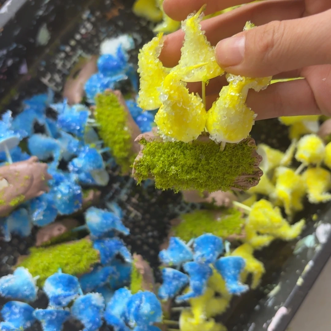 树脂46号2个哦哦哦哦哦哦哦