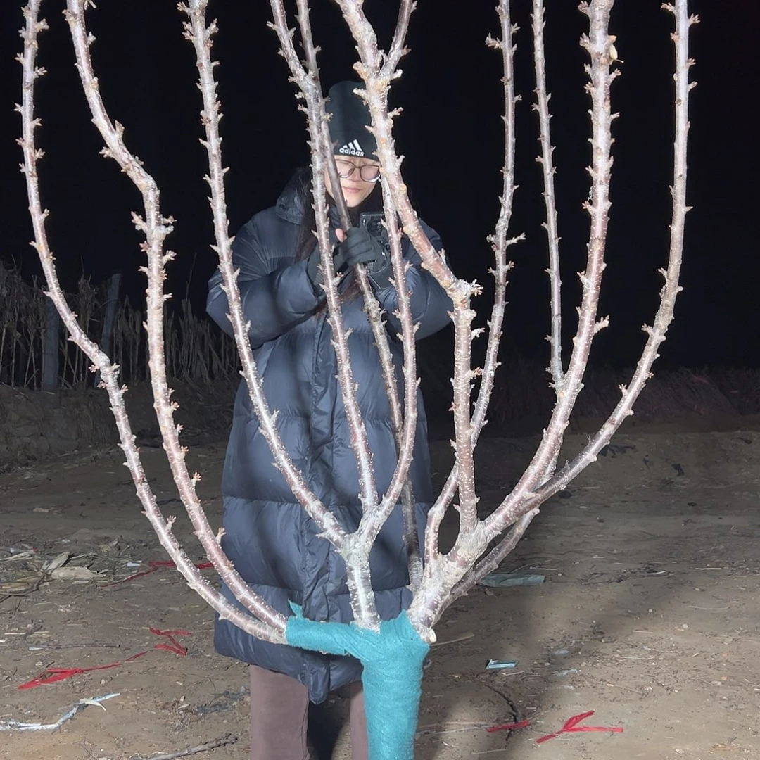 天***勤直播间专拍直播间专拍