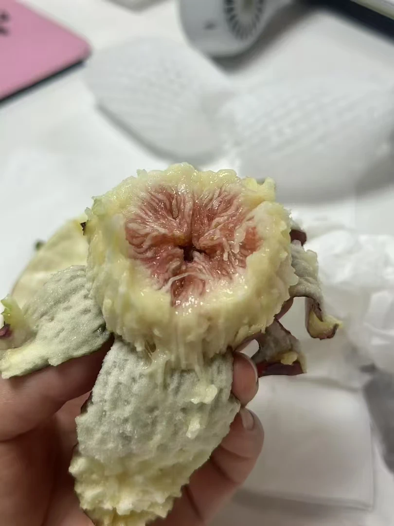 无花果带果树果园包邮果实