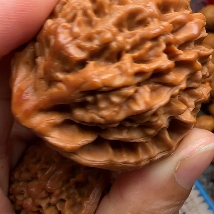 橄榄核吊坠橄榄菜等经济作物