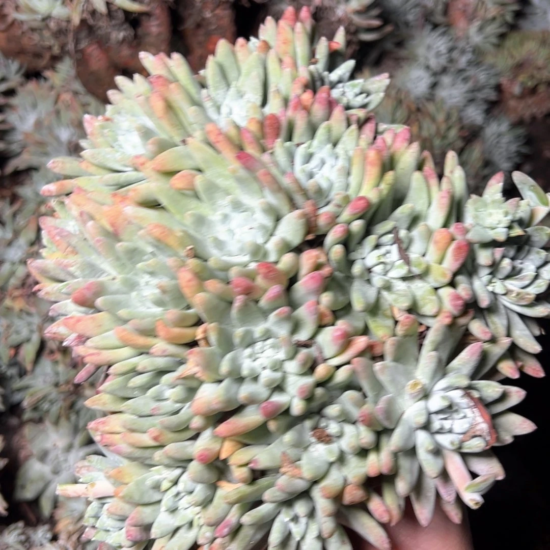 5418哈哈哈哈哈哈哈哈