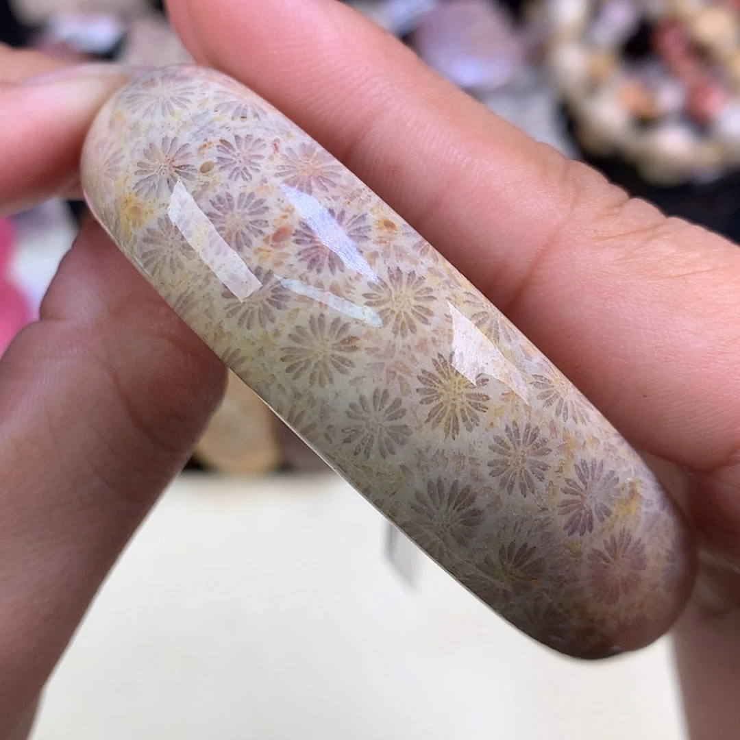 【闪购商品】颈饰未镶嵌硅化珊瑚（珊瑚玉）10号精美雏菊55.4圈口