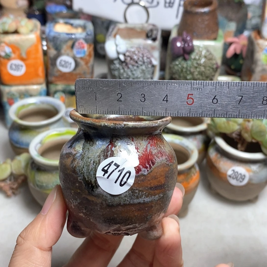 拍5送一个小礼物