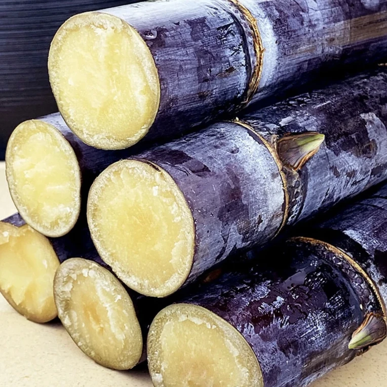 本地黑皮甘蔗水果爽口脆甜同城1小时之内派送