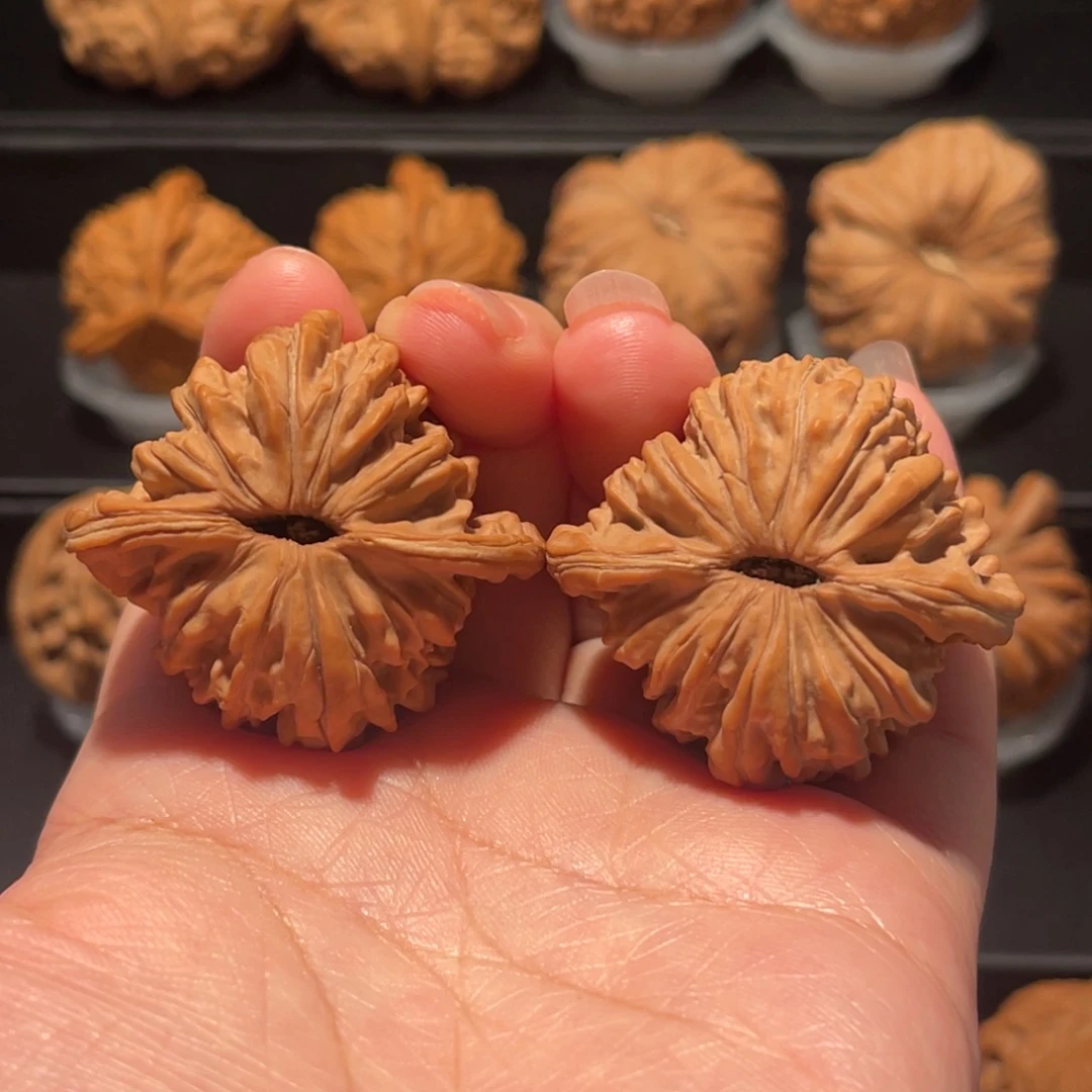 全品，精品，41平谷四座楼218