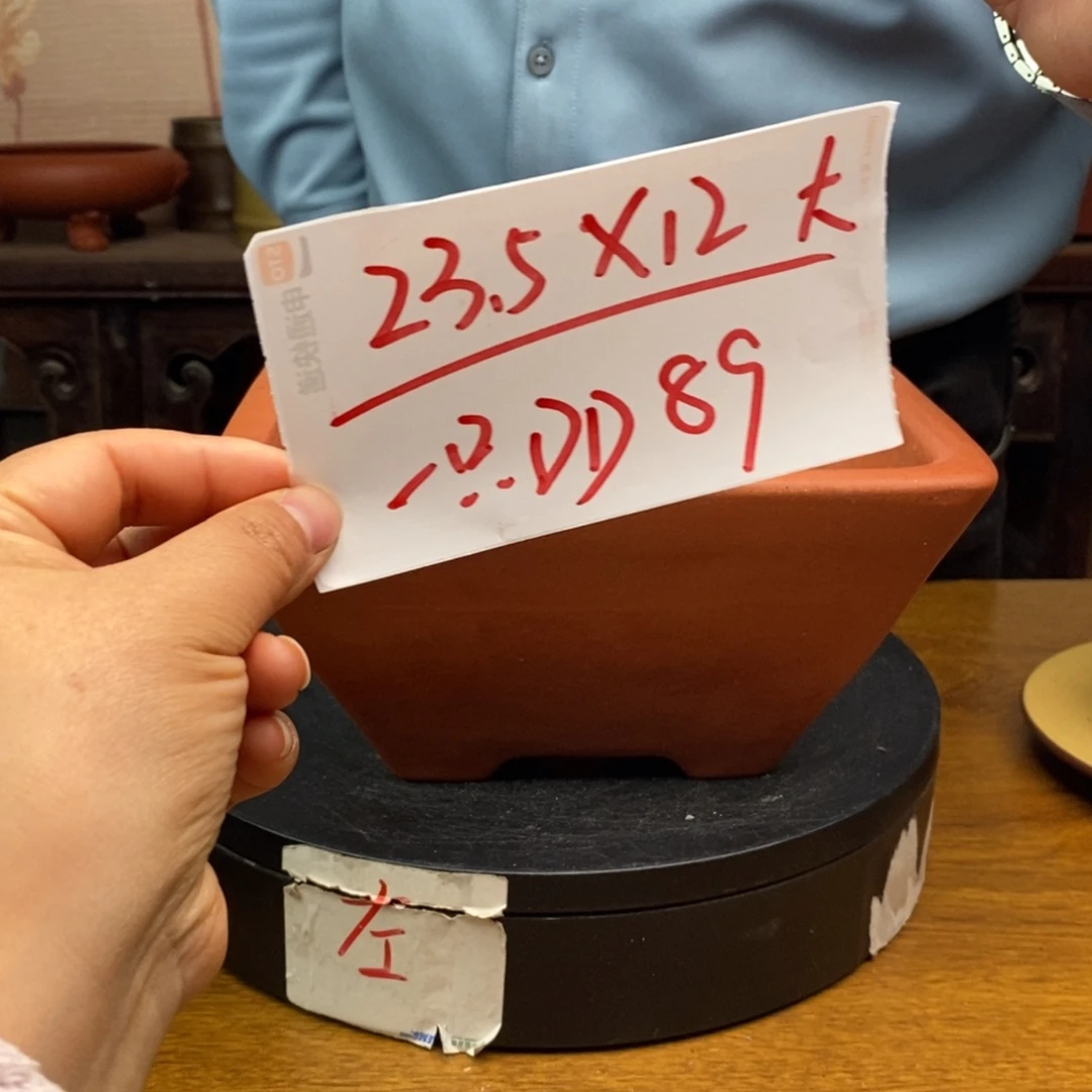 红陶货号一只DD89大