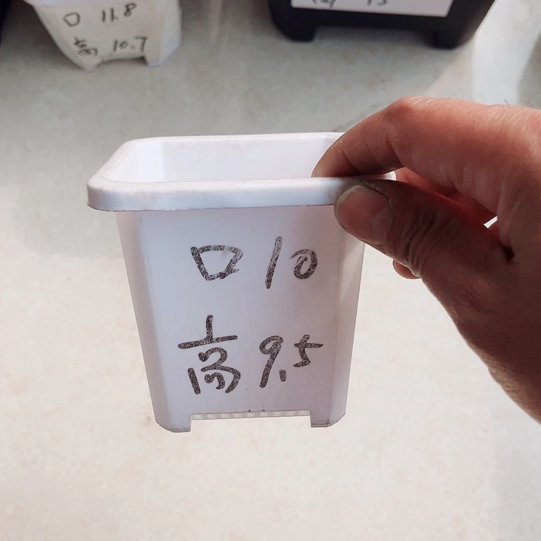 塑料升级款景天10方白色盆10个无托