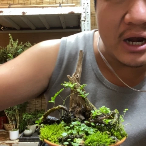 红陶不*?一物一拍所见即所得195