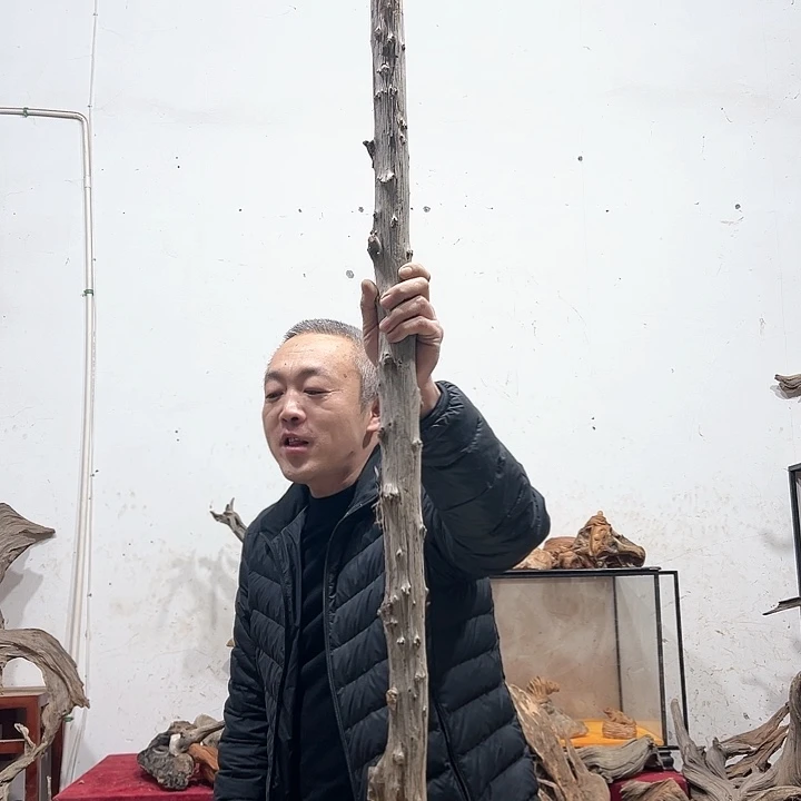 柏木喜*郎我们的生活也会