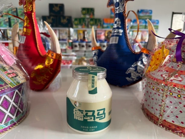 内蒙古德马马奶皮子老酸奶丝路饱腹解馋学校必备小零食奶皮子酸奶