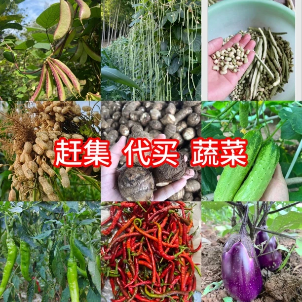 赣南本地新鲜农家蔬菜