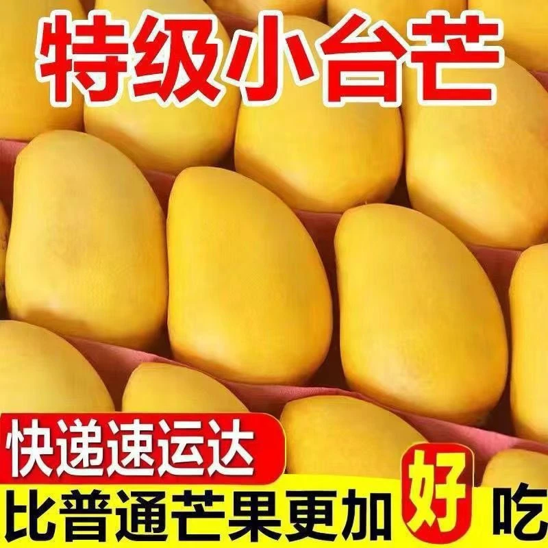 [礼盒装】当季新鲜台农芒果香甜多汁肉嫩的贵妃热带水果