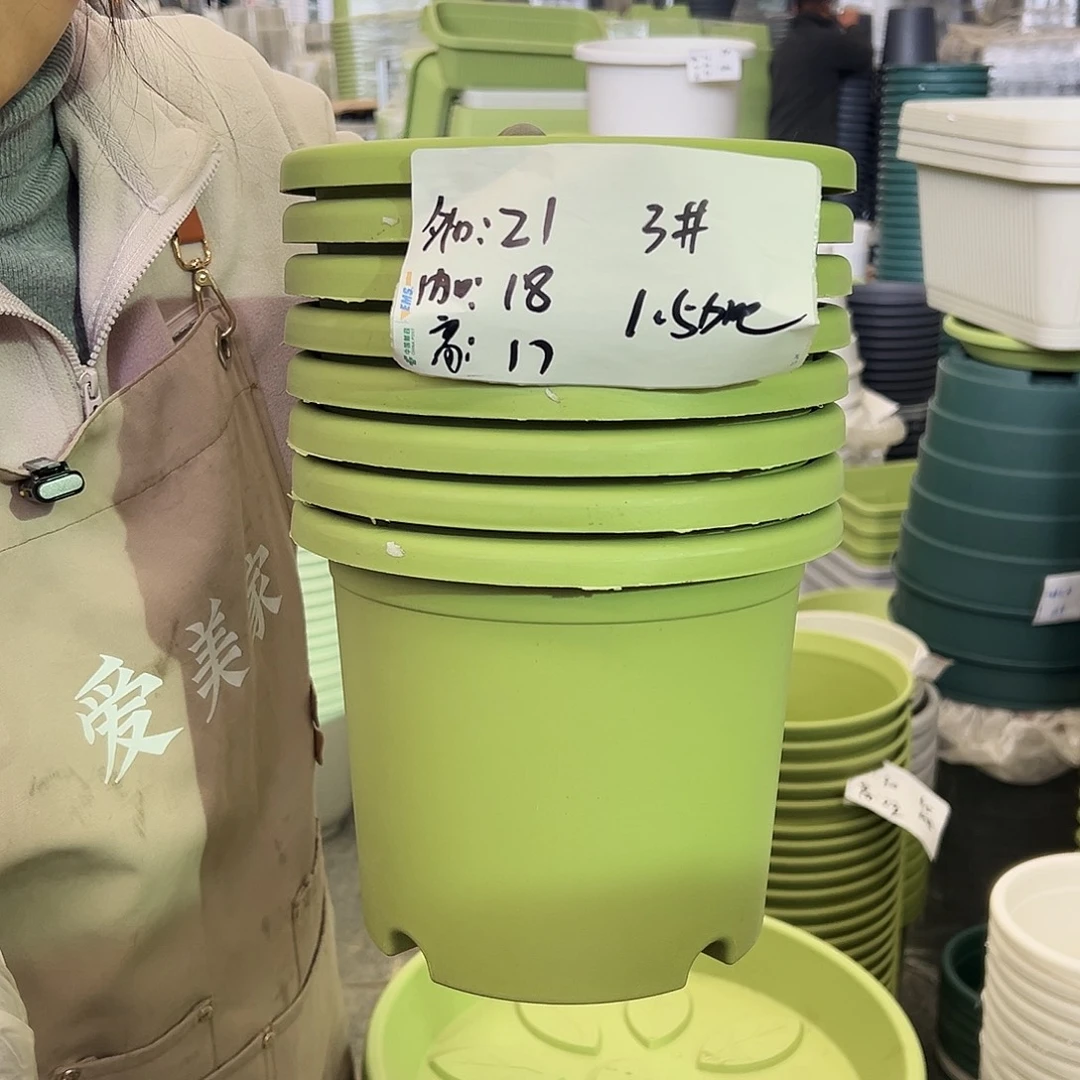 四季盆3#果绿色10个无托