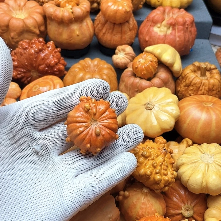 ****.墨西哥家居摆件创意