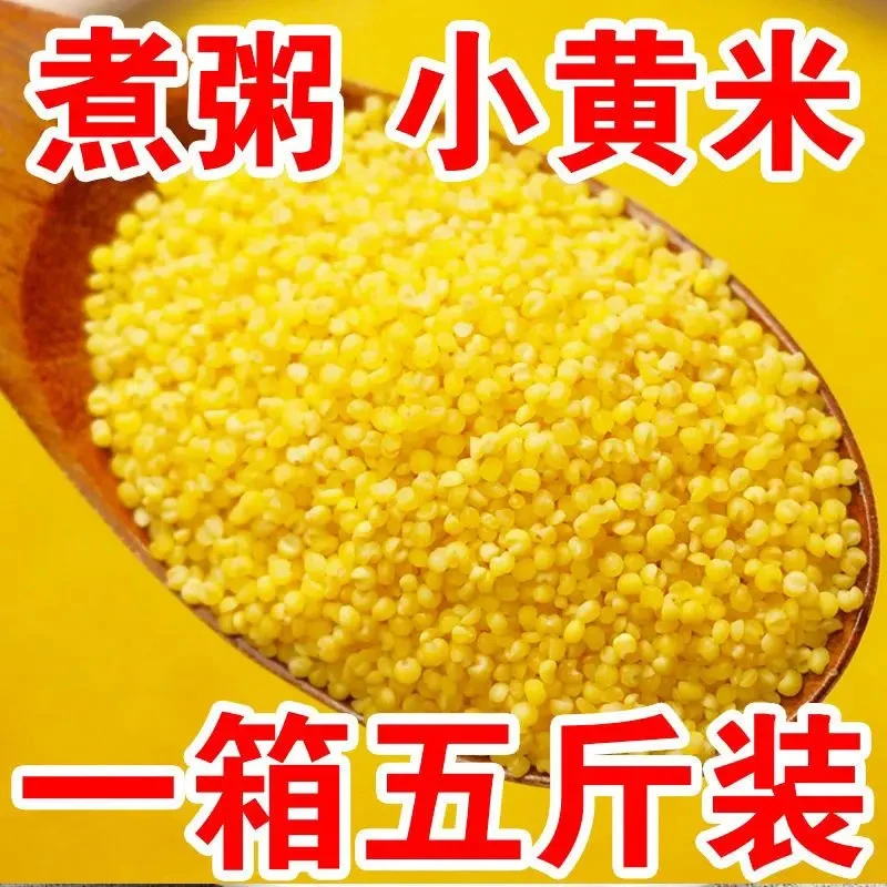 【到手5斤】黄小米农家新米自产精品油小米五谷杂粮营养煮粥食品