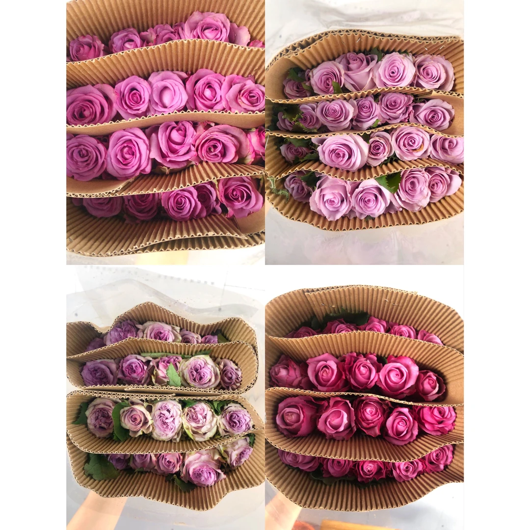 【优惠套餐】 A05   基地鲜花   家庭用花   水养