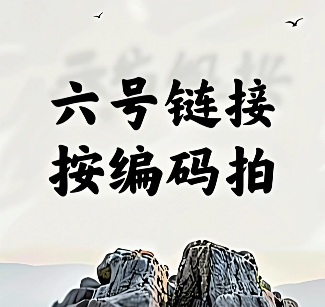【发圈】高定版本、通勤百搭、经典气质