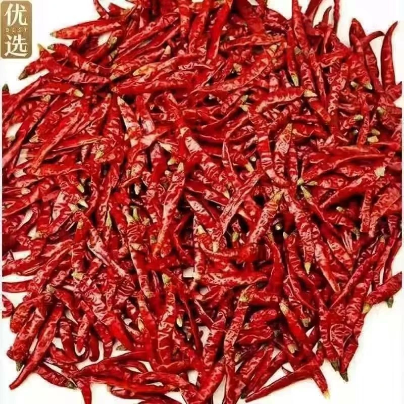 买半斤送半斤当季新货巨辣干辣椒魔鬼椒特香特辣香辣