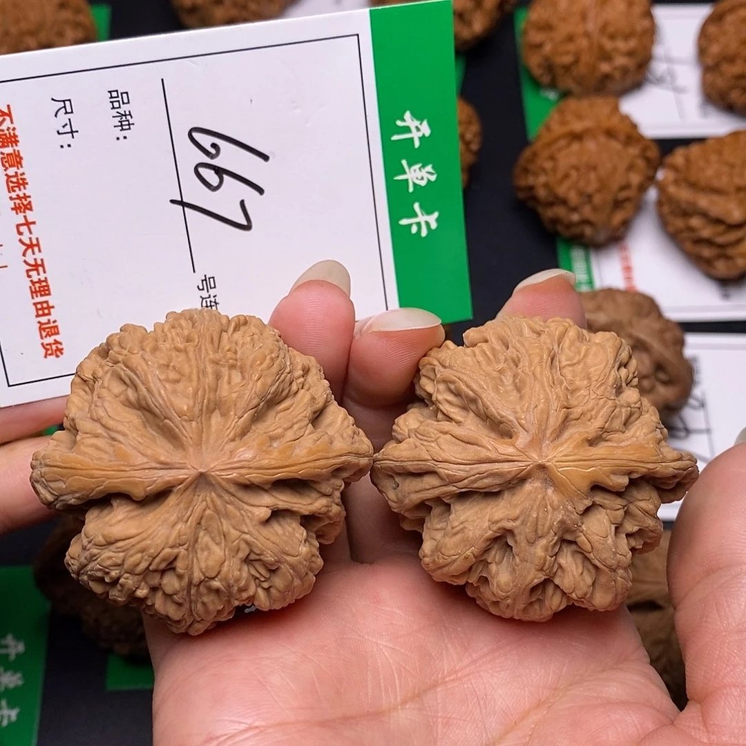 吊坠文玩核桃667粗筋4.8