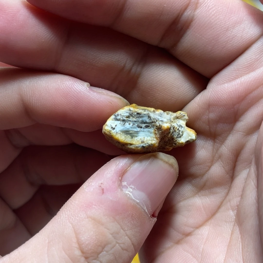 定制琥珀天然原矿