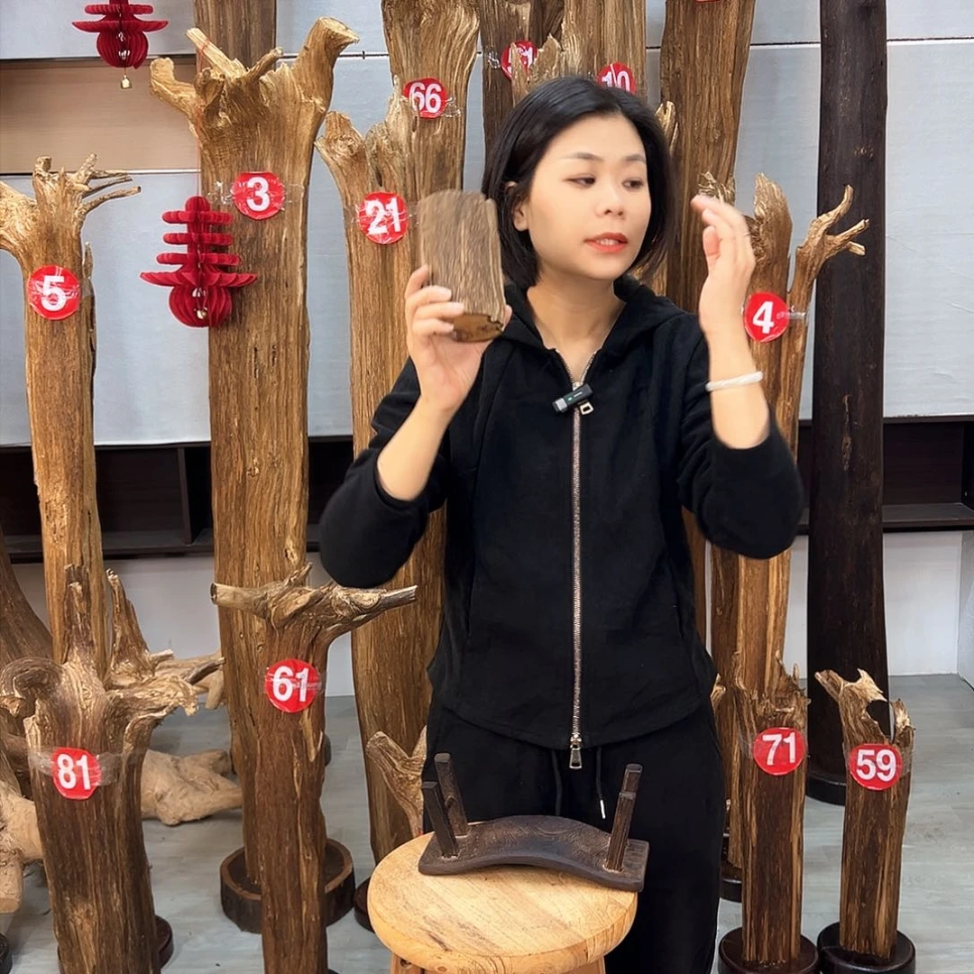 沉香摆件海南沉香摆件