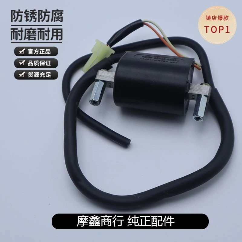 轻骑铃木王GS125俊龙GN125钻豹EN125骏威QS125-2-3高压包点火线包