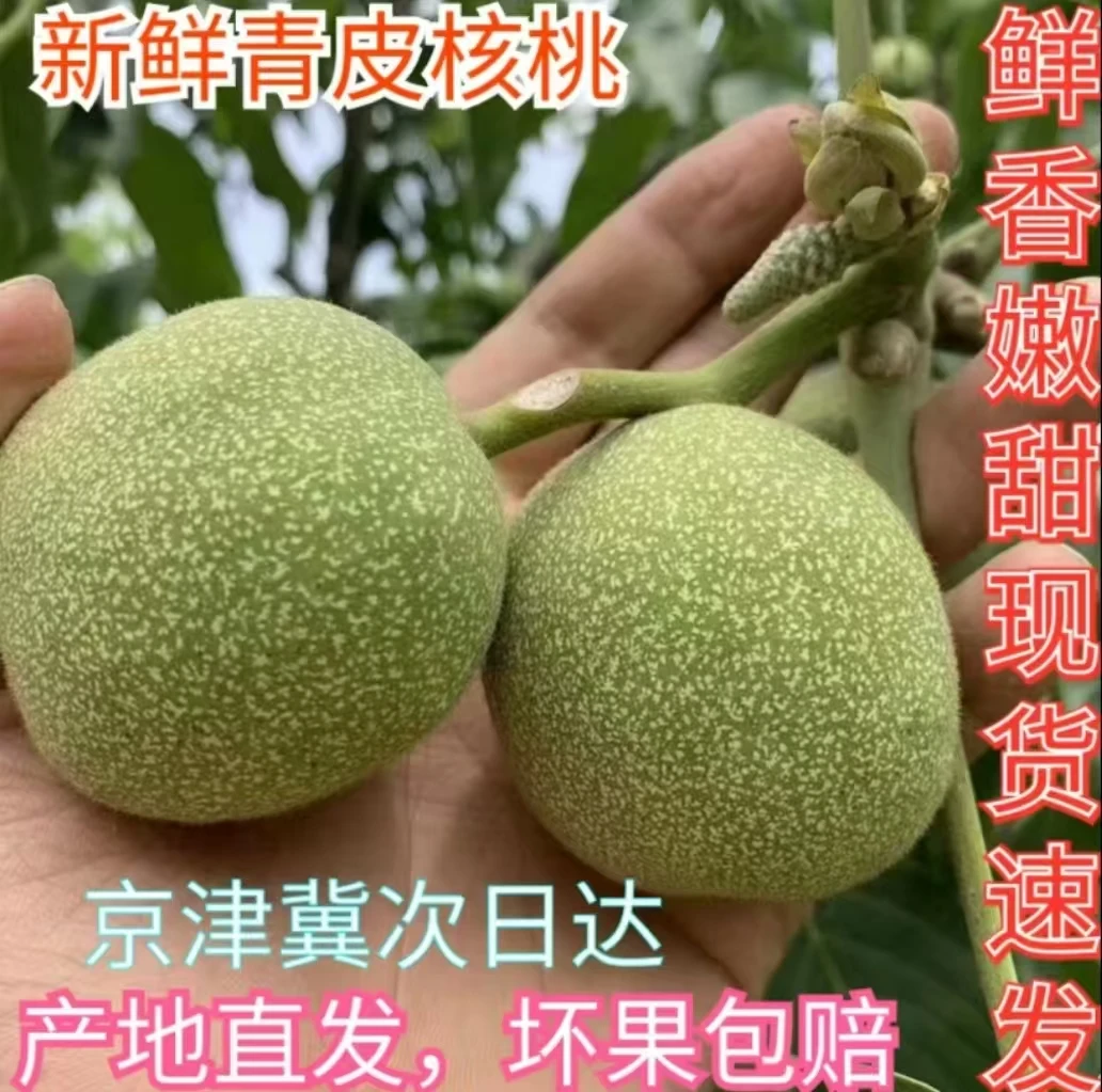 2025新鲜青皮核桃产地直发孕妇当季水果薄皮鲜核桃纸皮生核桃包邮