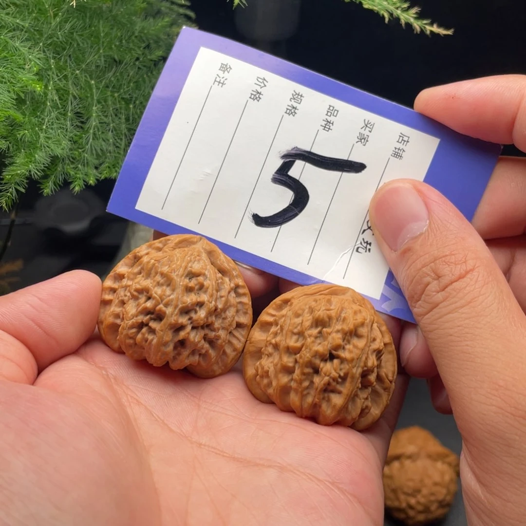 文玩核桃把件全品白狮子38