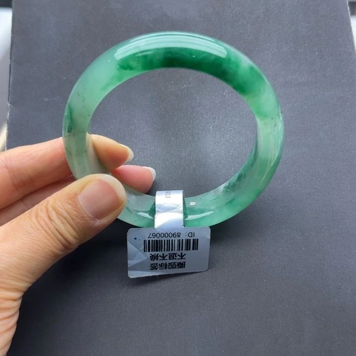 石英质玉未镶嵌手镯燕子➕58.4