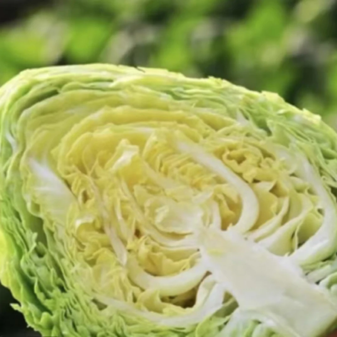 《习习家庭农场》奶油绿甘蓝拍发五斤（±2两）绿色蔬菜甘蓝