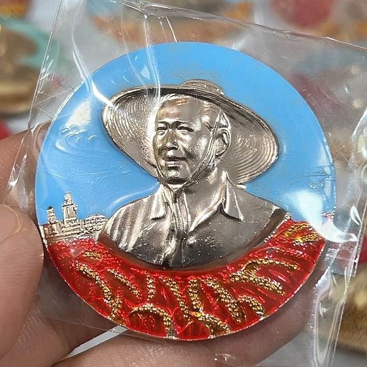 其他普通金属大**屋纪念章