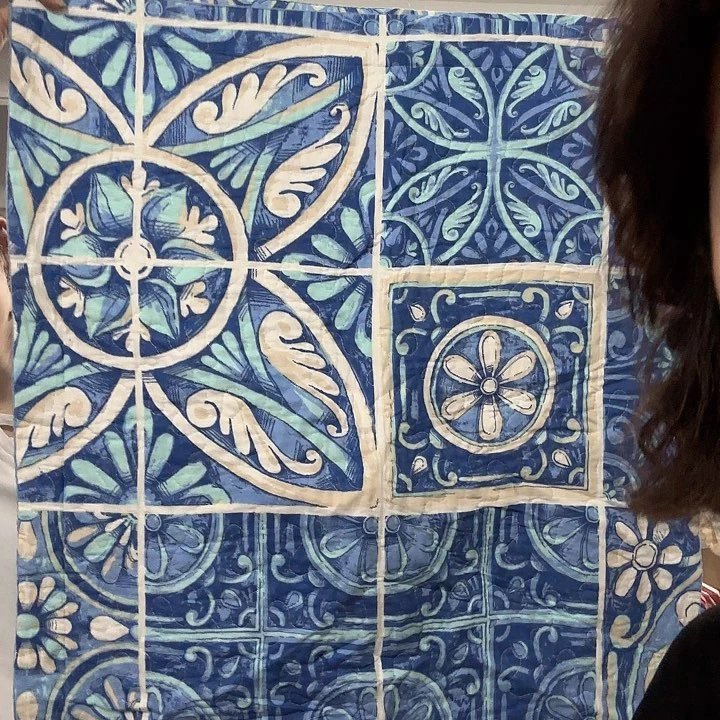 蚕丝青花瓷花花抱枕套发1对