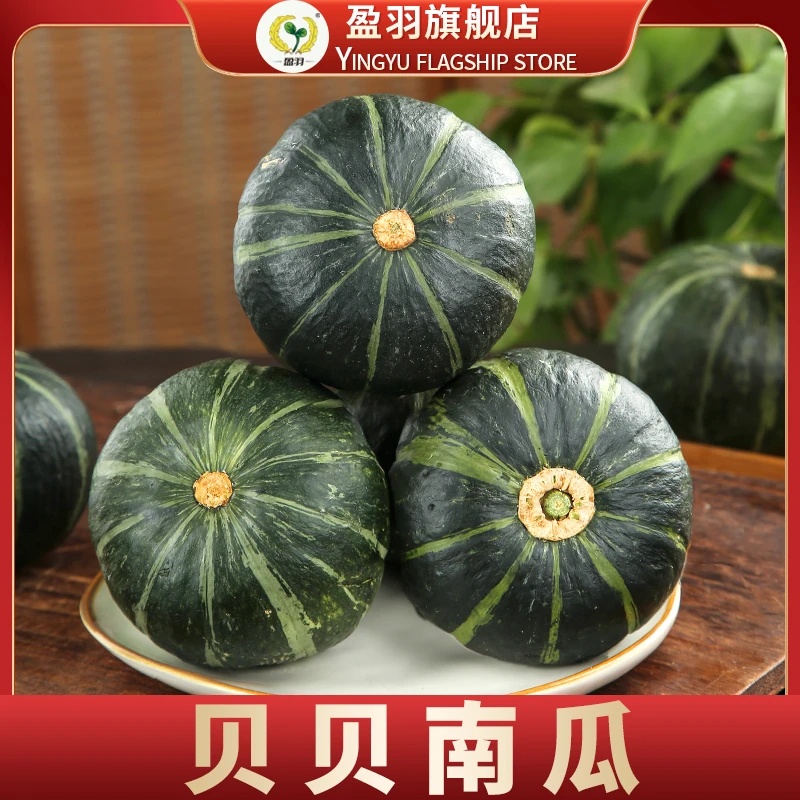 【盈羽】甘肃麻籽/盈羽/惠和贝贝南瓜5斤装