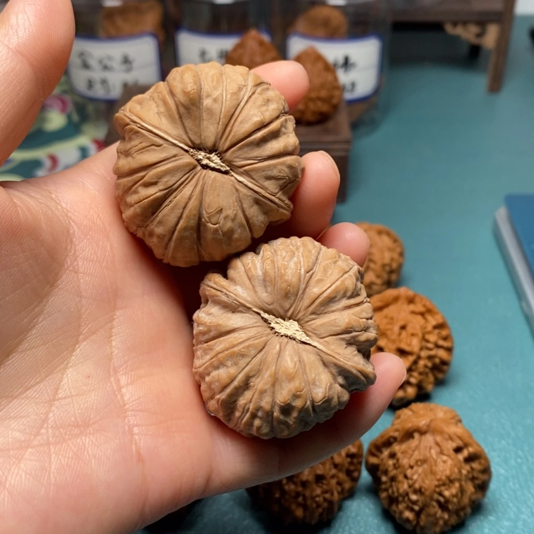 核桃43尺全品南瓜蹲