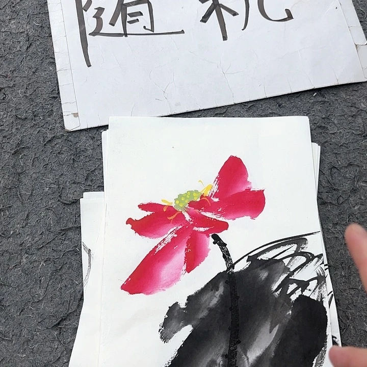 国画无毛或被柔毛或近无毛